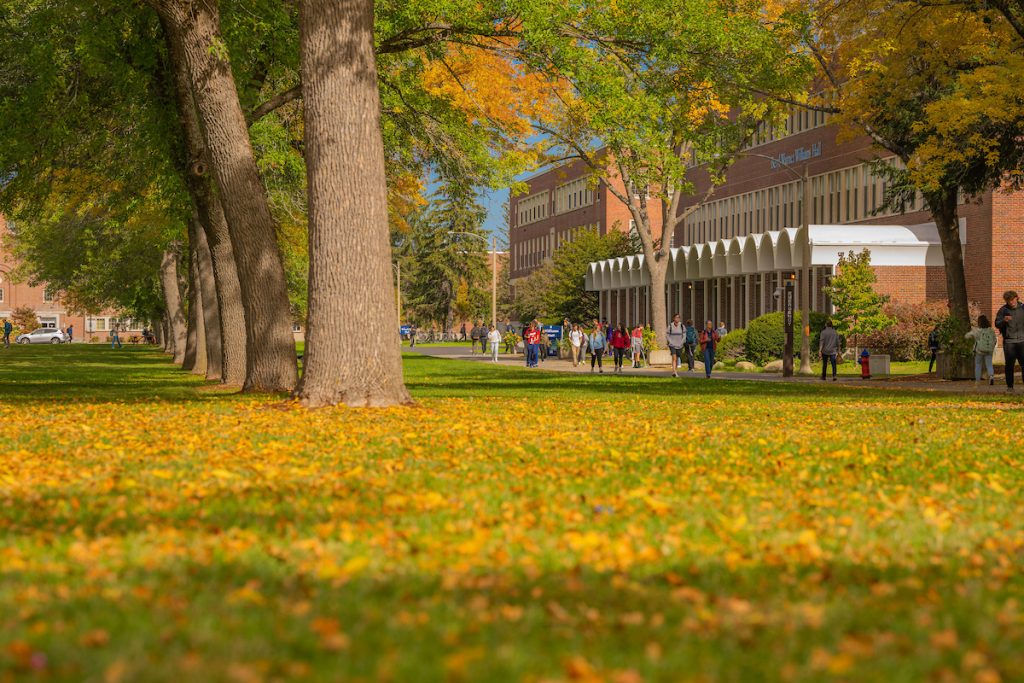 campus scene