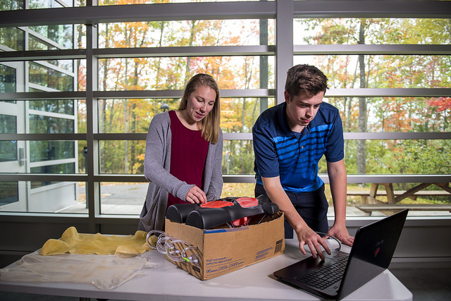 Two engineers working on a project.