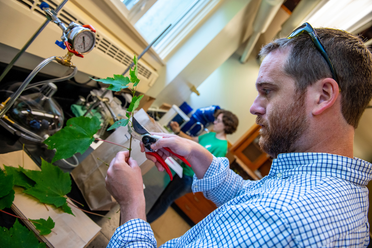 ay Wason, Assistant Professor of Forest Ecosystem Physiology, and his graduate assistants Ruth van Kampen and Kelly French run tests on leaves they collected in the Demeritt Forest