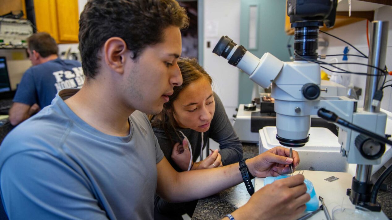 two students looking at a microscope