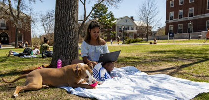 student sitting on blanket over grass, working on laptop alongside dog