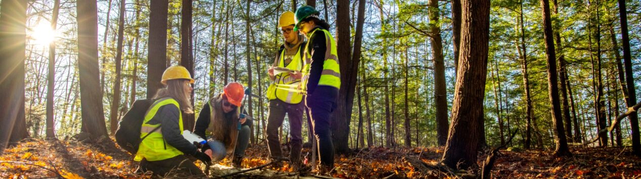 four people in reflective vests working in a forest