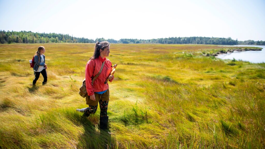 two women walking through a field of long grass