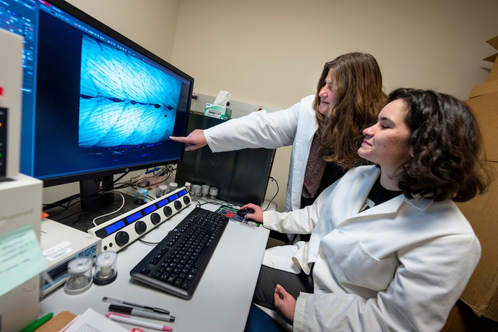 Clarissa Henry, Professor of Biological Sciences works in her Hitchner Hall lab with her technician Claire Schaffer (Honors Alumna) and GSBSE PhD candidate Kodey Silknitter.