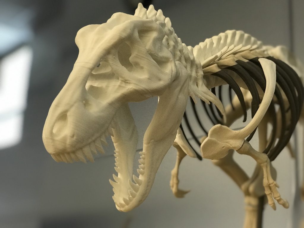 3D printed T rex