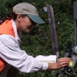 A researcher at Howland Forest adjusts instrumentation