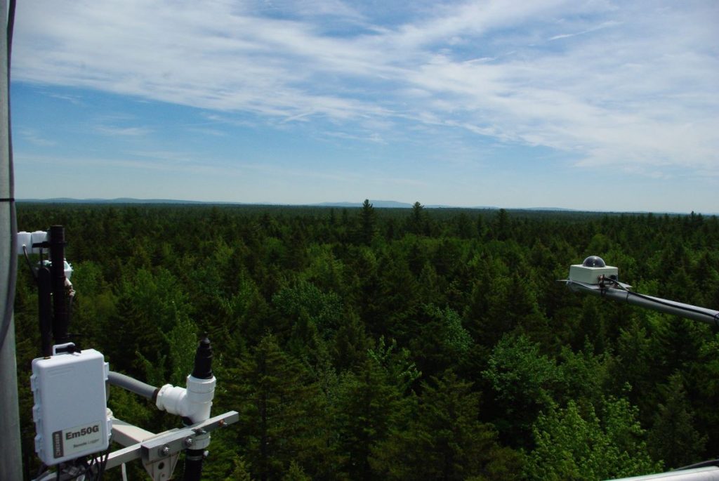 View of the Howland forest canopy from the top of the main tower, with instrumentation in sight