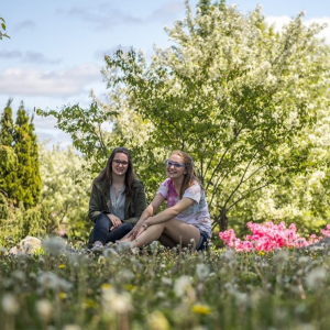 students sitting on lawn