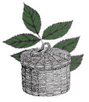 ash basket