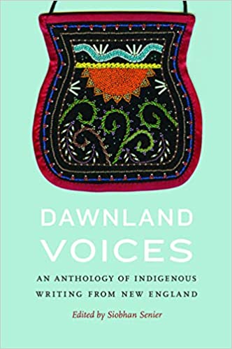 Book cover featuring a beaded bag with a sun, water, and plants motif.