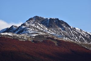 Fed foliage with a showy mountain in the background