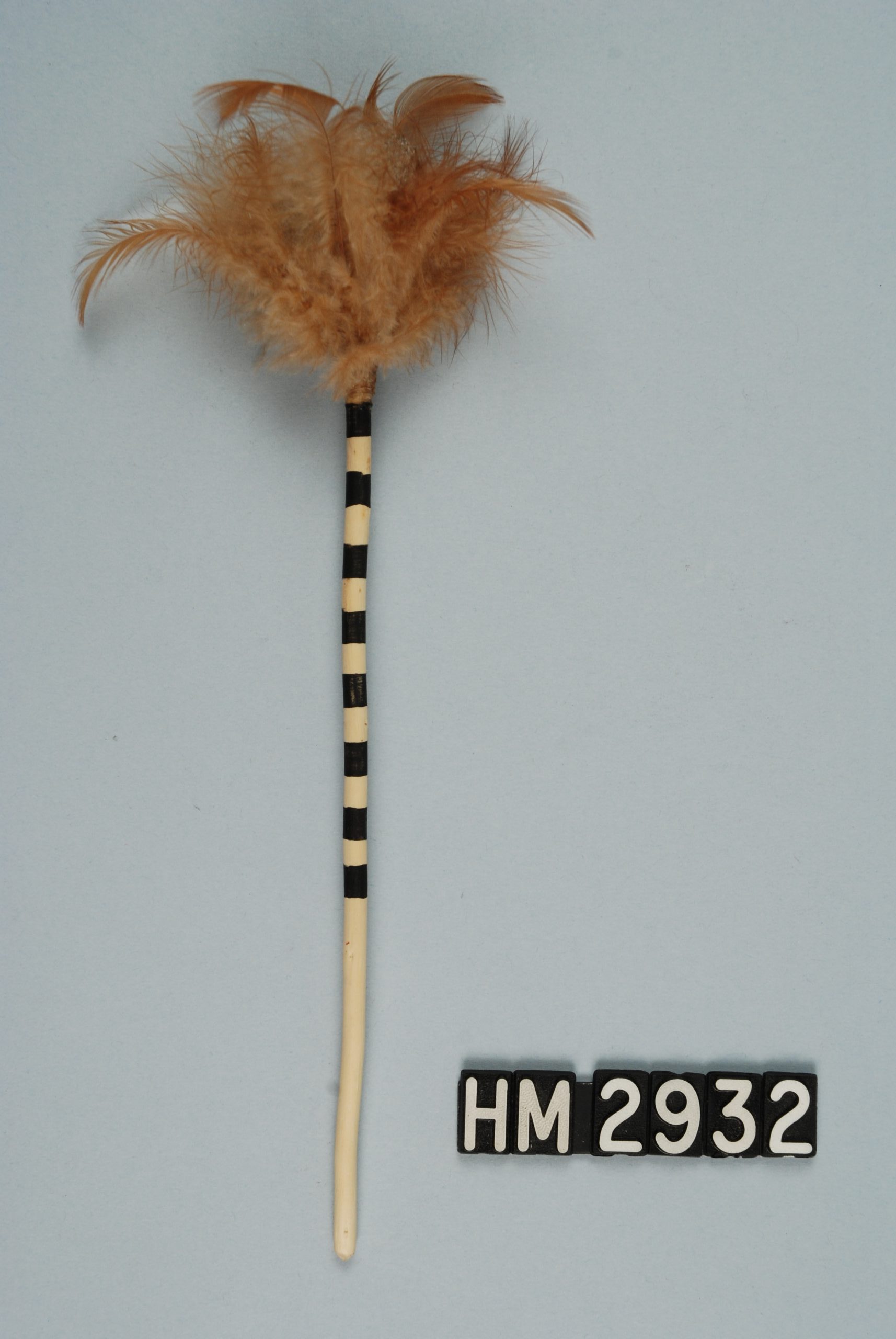 Image of a small rattle - it appears as a narrow stick painted in black and white stripes and topped with a plume of feathers.