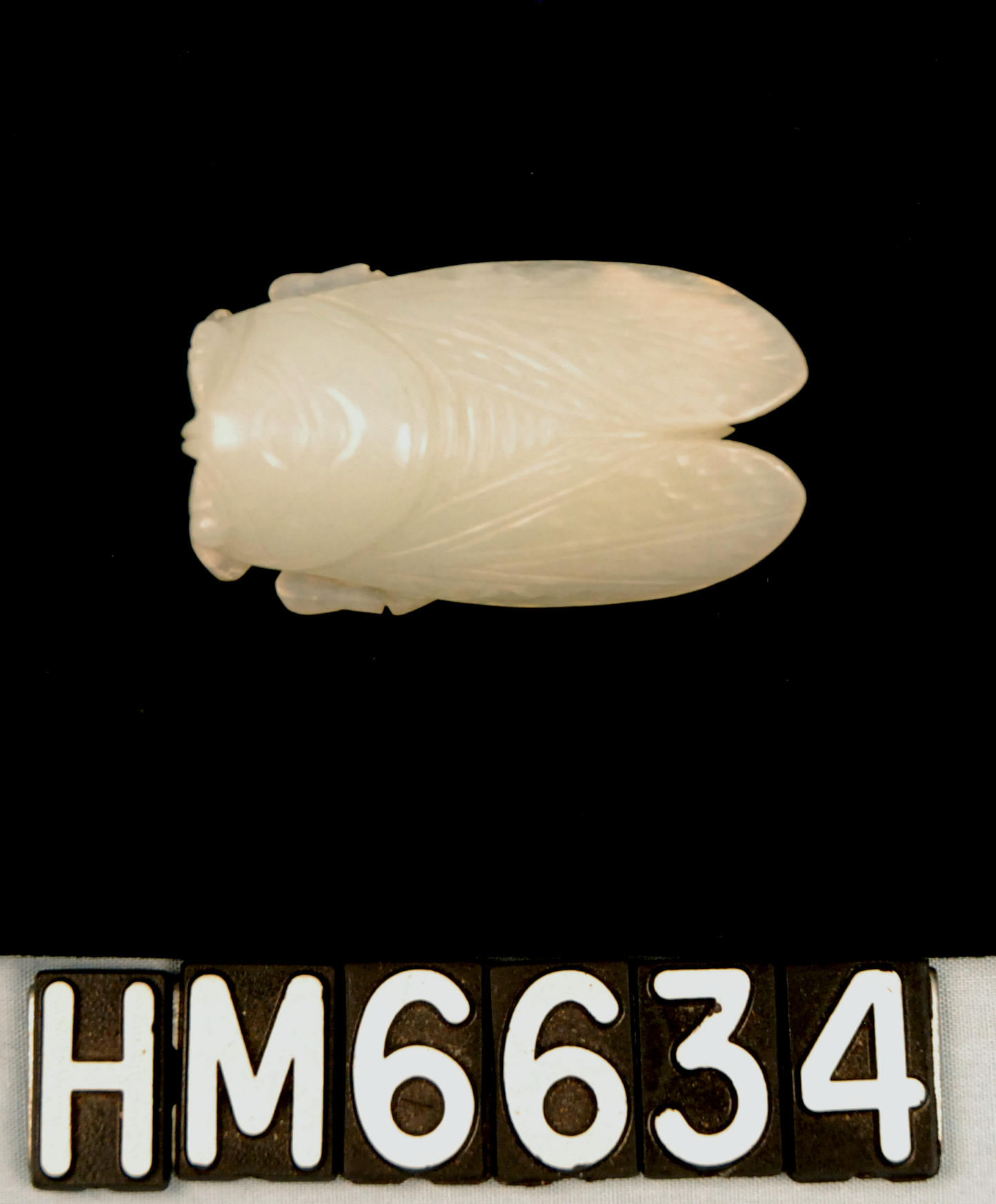 Image of a small, pale, carved stone cicada on a black background.