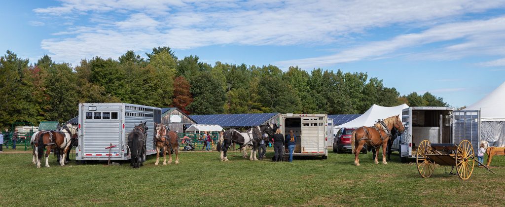 Photograph of a fairground featuring horses and horse trailers.