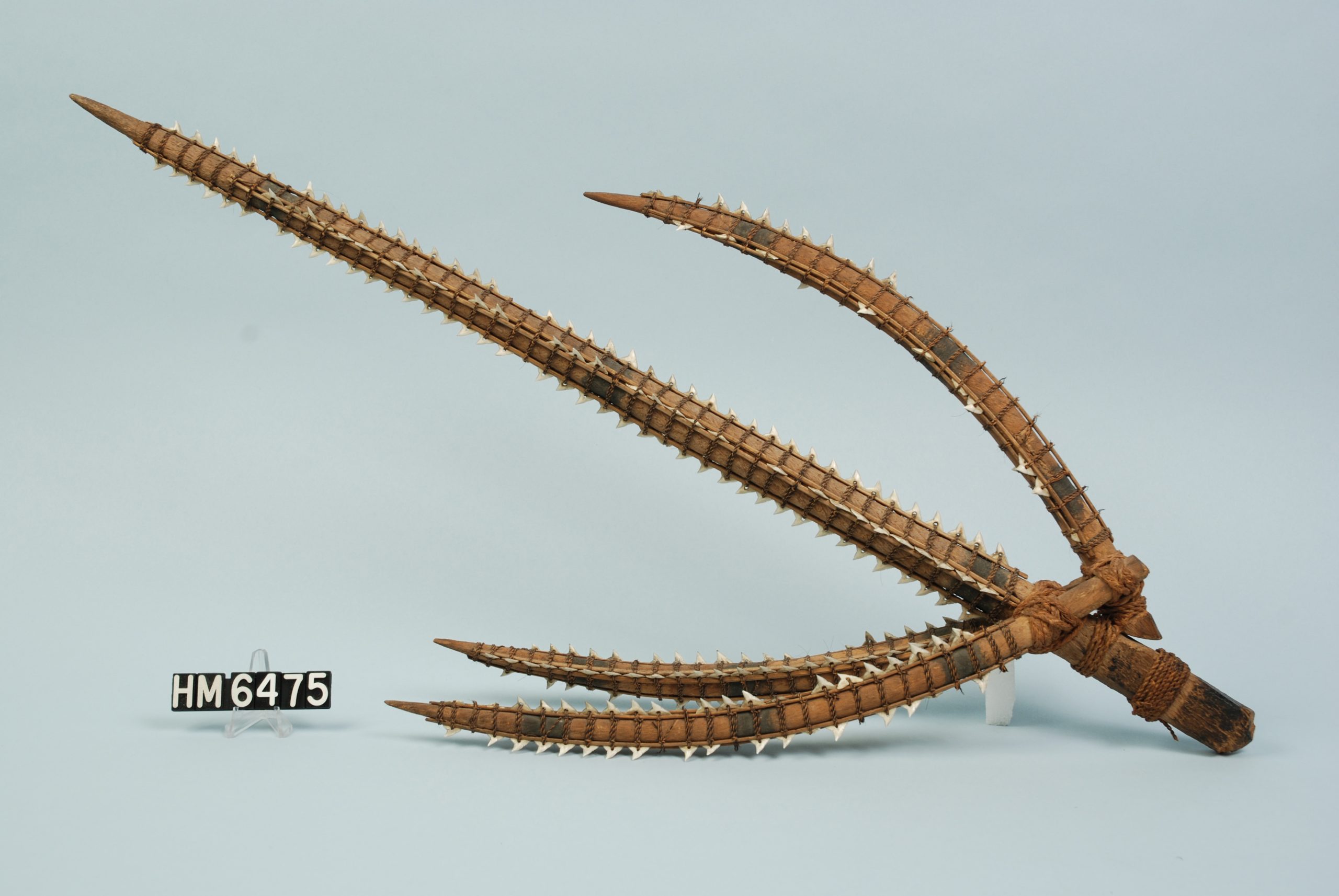 Image of an object with a central spike surrounded by three others all lashed together at the base. All spikes are lined with shark teeth.