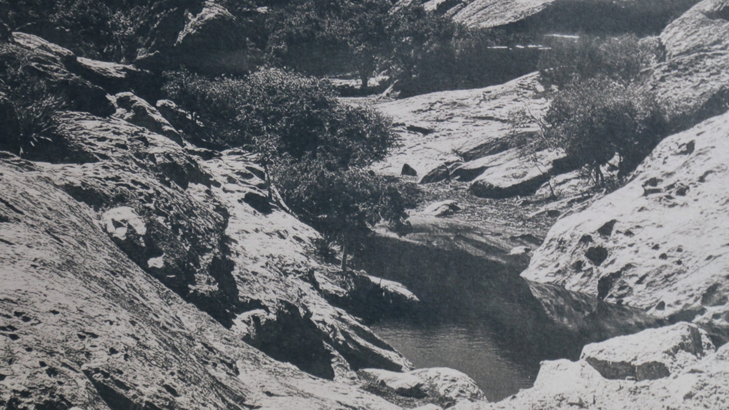 A grayscale photograph of a rocky landscape with a few scrubby trees and a pool of water.