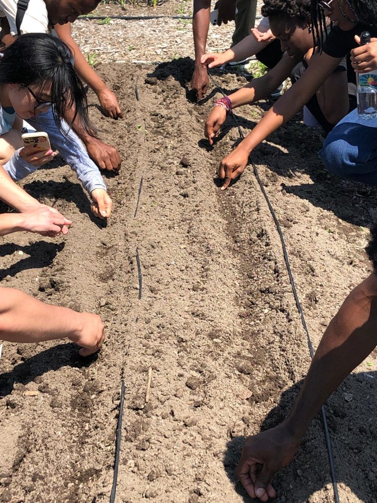 International Students at Rogers Farm