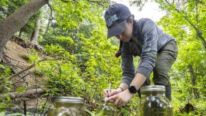A student from the School of Earth and Climate Sciences sampling streams in Acadia National Park for microplastics.