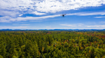 Maine woods with drone