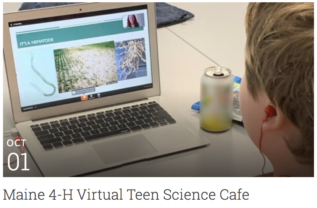 Maine 4-H Virtual Teen Science Cafe with student on laptop picture