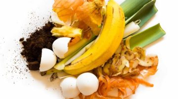 Image of food waste