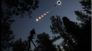 A dark sky surrounded by trees with a graphic representation of the phases of a solar eclipse