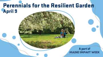 Person under blossoming tree. Overlay text says, "Perennials for the resilient garden. April 9. A part of Maine Impact Week."