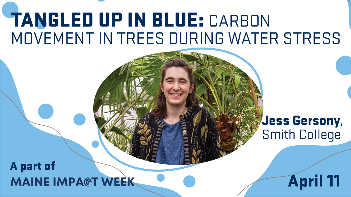 A person standing in a garden with overlay text that says, "Tangled up in Blue: Understanding carbon movement in trees during water stress. April 11. A part of Maine Impact Week