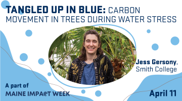 A person standing in a garden with overlay text that says, "Tangled up in Blue: Understanding carbon movement in trees during water stress. April 11. A part of Maine Impact Week