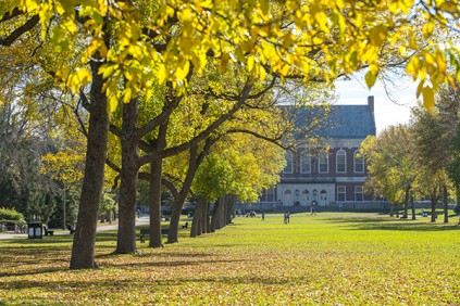 UMaine University Mall Fall