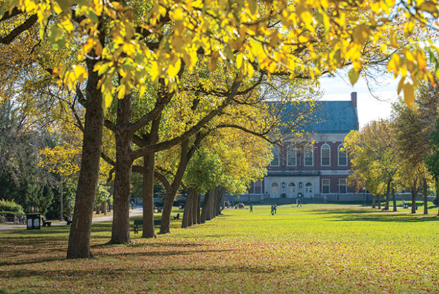 photo of mall in fall