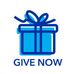 Give Now icon