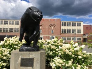 black bear statue in front of memorial gym