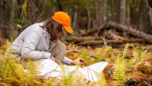 A photo of a student performing tick research