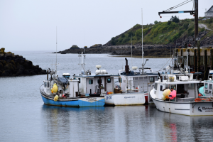 Commercial Fishing Boats