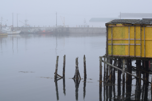 Fishing Dock