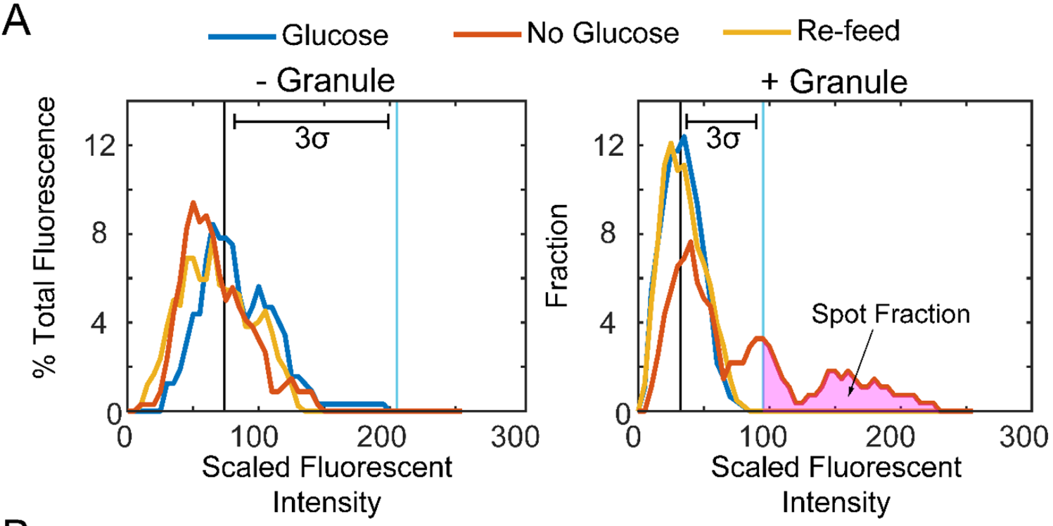 Granule formation detection