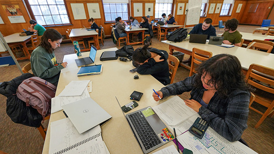 students on laptops in the library