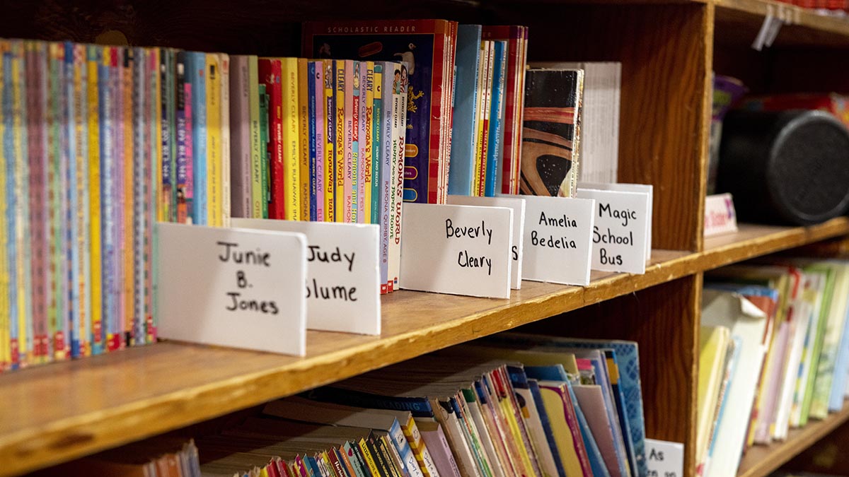 A photo of a library bookshelf