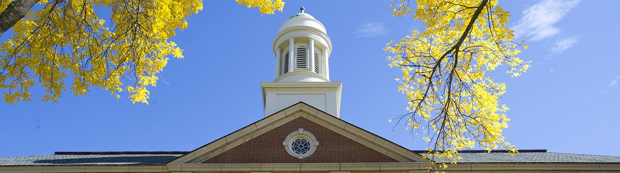 Stevens Hall cupola - fall photo
