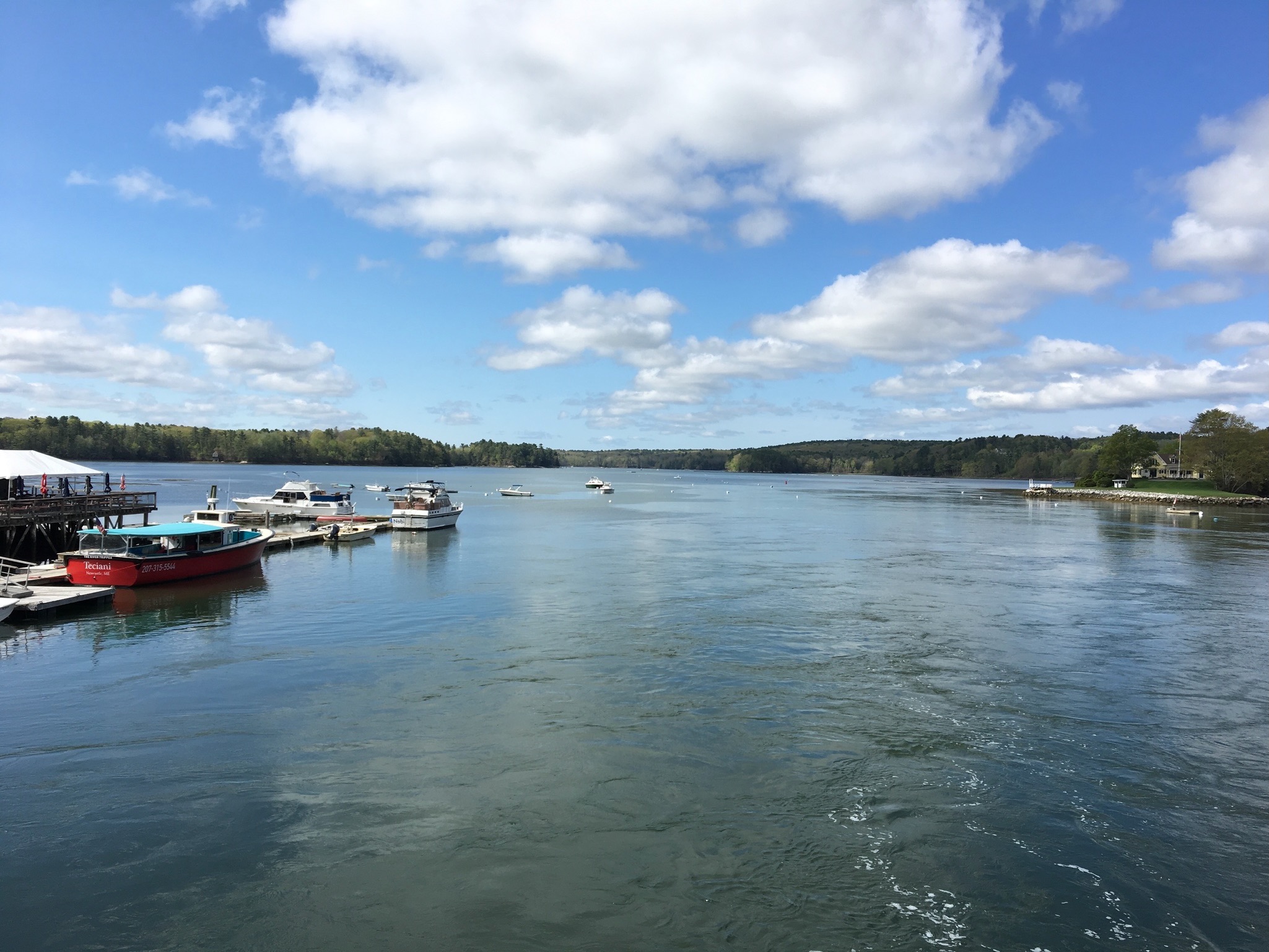 Damariscotta River, looking north from the bridge
