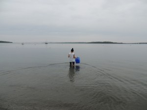 Karen Cortes, Class of 2014, sampling water in the Bay. 