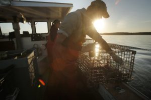 portland-press-herald-lobsterman