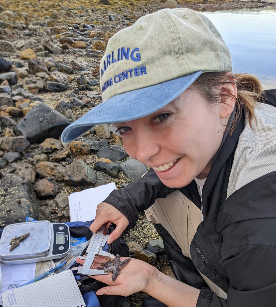 Summer internships Leslie Lab Marine Conservation Science