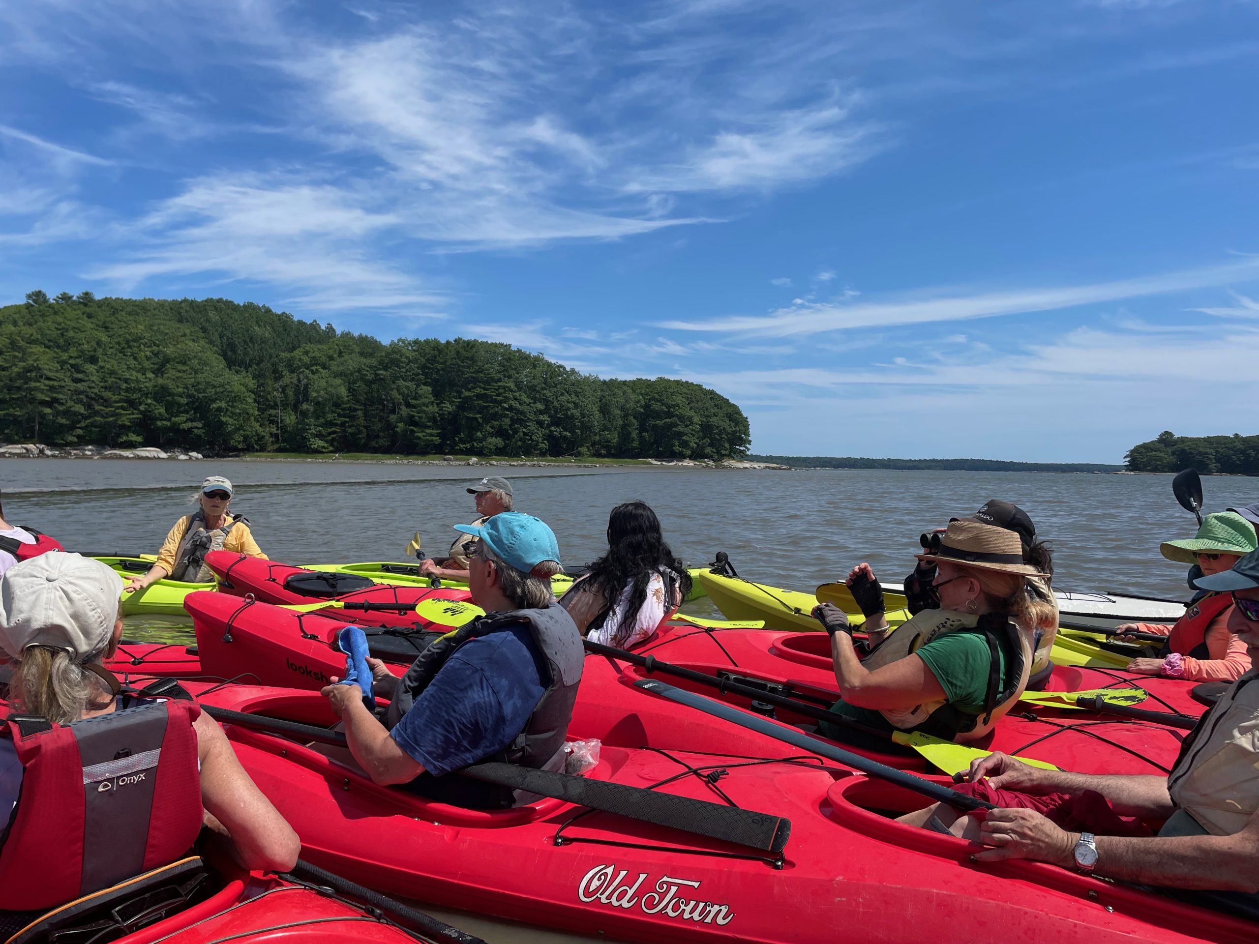 People in kayaks