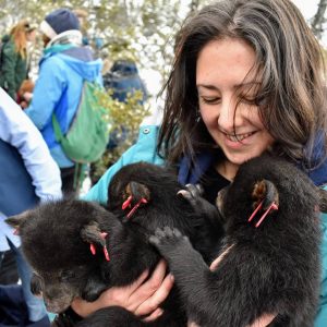 Tal holding three black bear cubs with researchers working in the background.