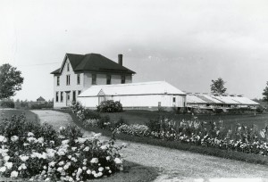 first greenhouses