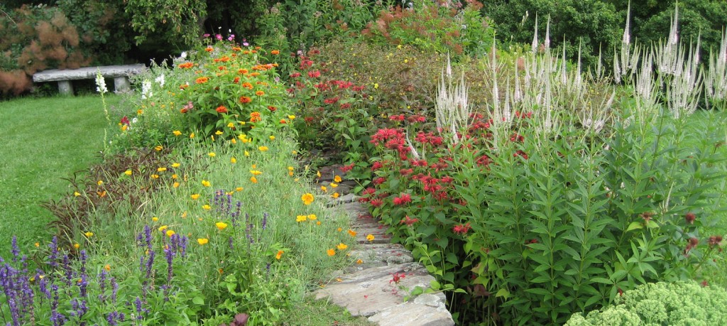 perennial bed