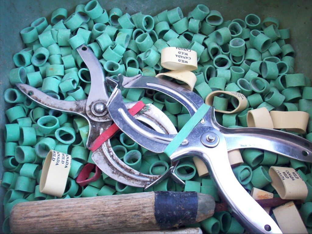 Equipment Lobster Institute University of Maine
