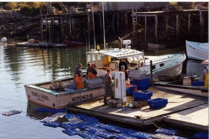 lobster boat tied up a dock selling station while lobsters are weighed